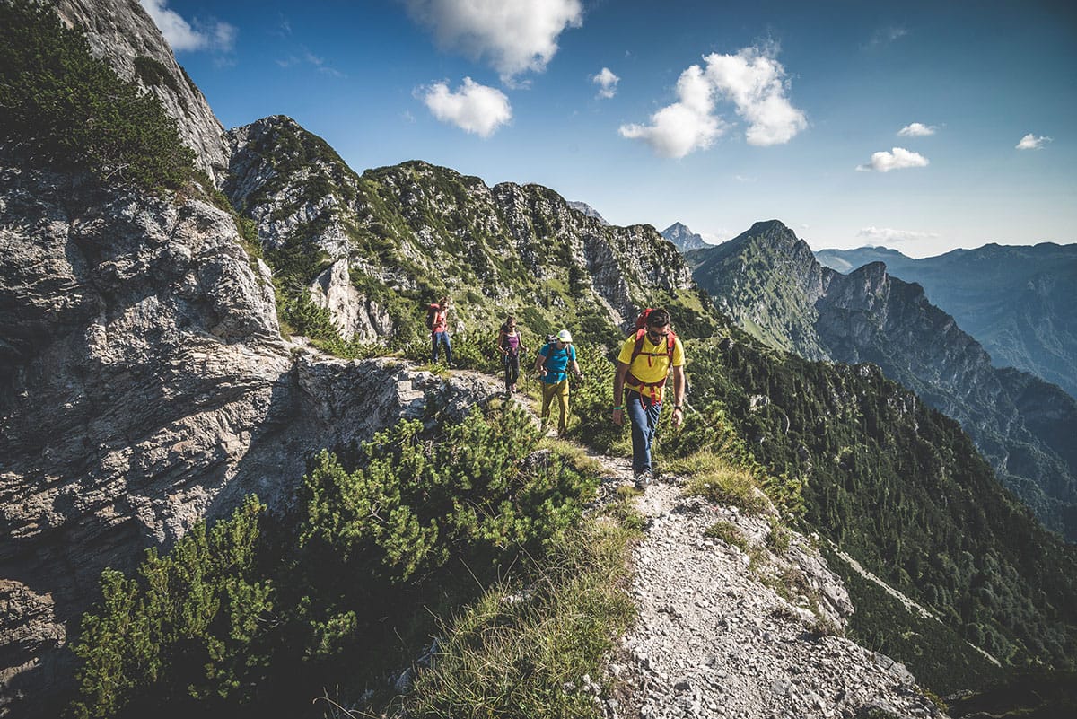 Libro di vetta Alta Via Dolomiti Bellunesi